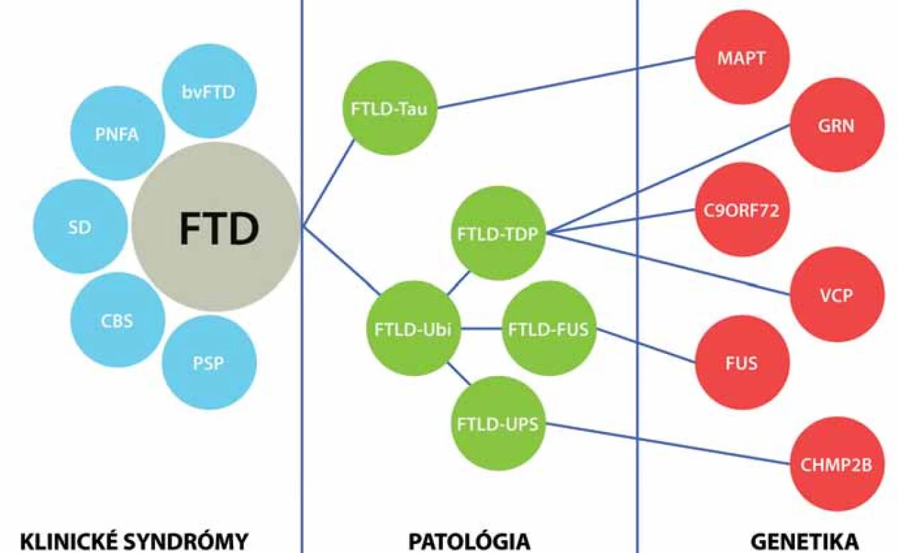 Klinicko-patologické a klinicko-genetické korelácie pri familiárnych FTLD.
