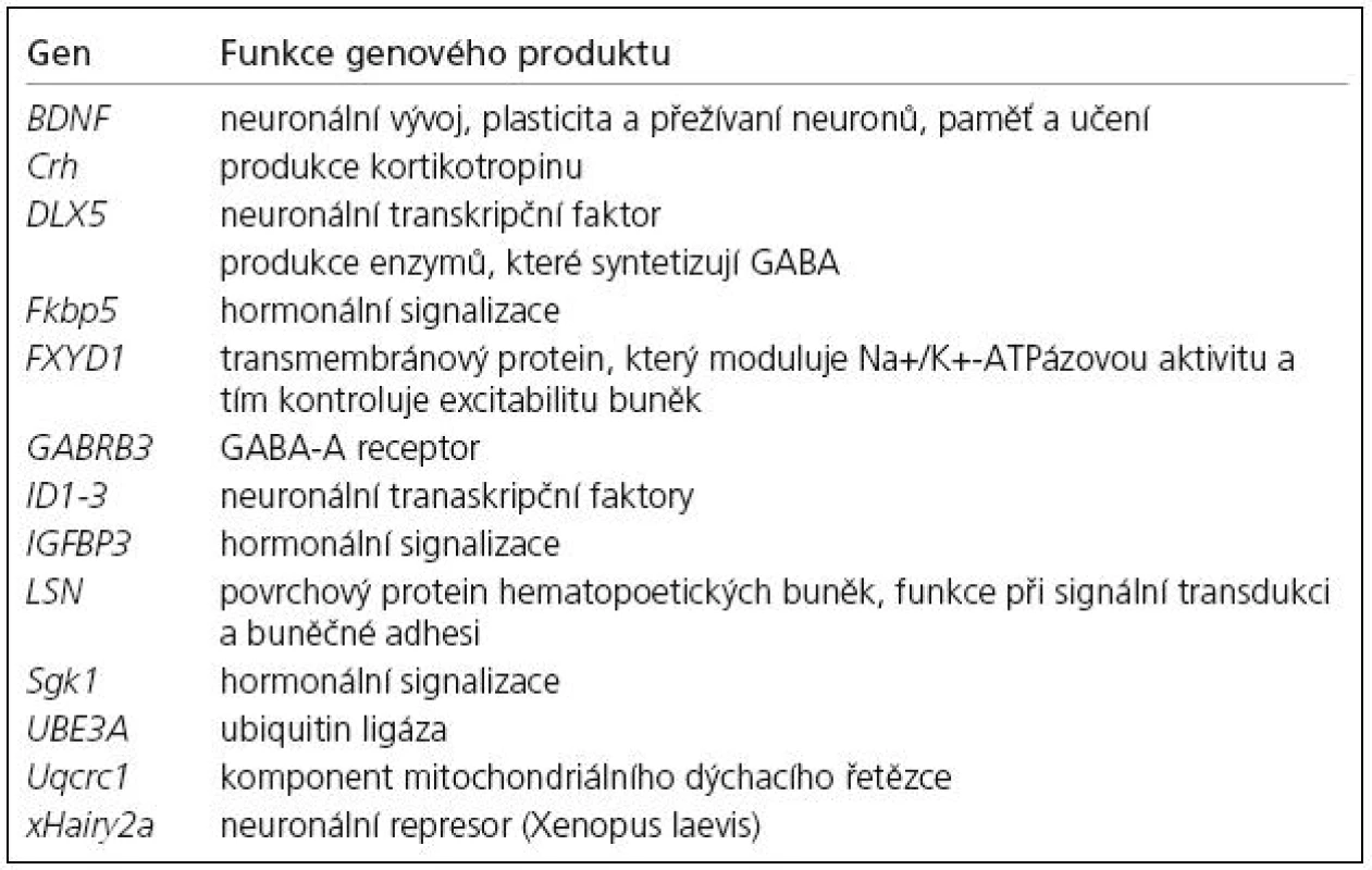 Některé cílové geny MeCP2 proteinu [9,60].
