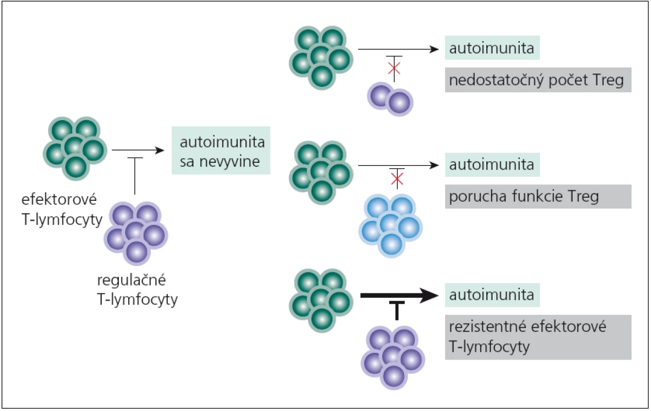 Príčiny neúspešnej funkcie regulačných T-lymfocytov pri vývoji autoimunity.
Regulačné T-lymfocyty neuplatnia svoju tlmivú funkciu pretože ich je málo v dôsledku určitej poruchy pri ich diferenciácii, ako je nedostatok cytokínov (IL-2, TGF-β), kostimulácie (CD28) a pod. Ďalej Treg-lymfocyty môžu byť v norme, ale nie sú plne funkčné, napr. neprodukujú dostatok imunosupresívnych cytokínov (IL-10, IL-35, TGF-β), alebo dochádza k poruche kontaktnej imunosupresívnej interakcie. Napokon aj počty aj funkcia Treg-lymfocytov sú v norme, ale terčová skupina buniek na ich imunosupresívne pôsobenie neodpovedá, napr. pre veľké množstvo cytokínov, ktoré produkujú (IL-2, IL-4, IL-6, IL-15) alebo pre svoj výslovne prozápalový charakter (T&lt;sub&gt;H&lt;/sub&gt;17-subpopulácia).
