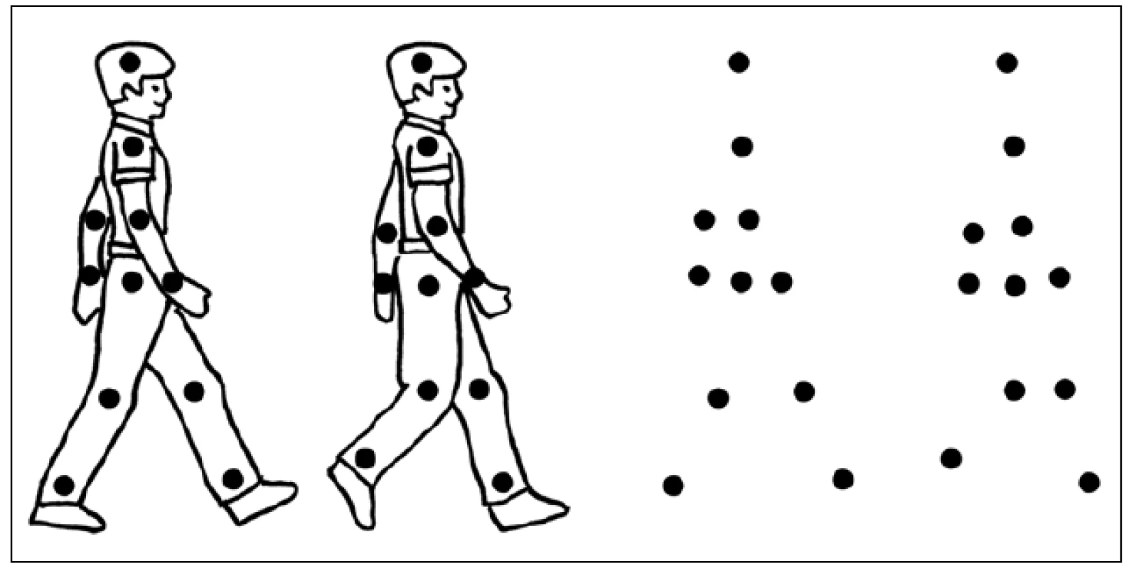 Příklad úlohy k testování percepce biologického pohybu – pohybující se body imitují pohyby hlavních kloubů imaginární postavy.
