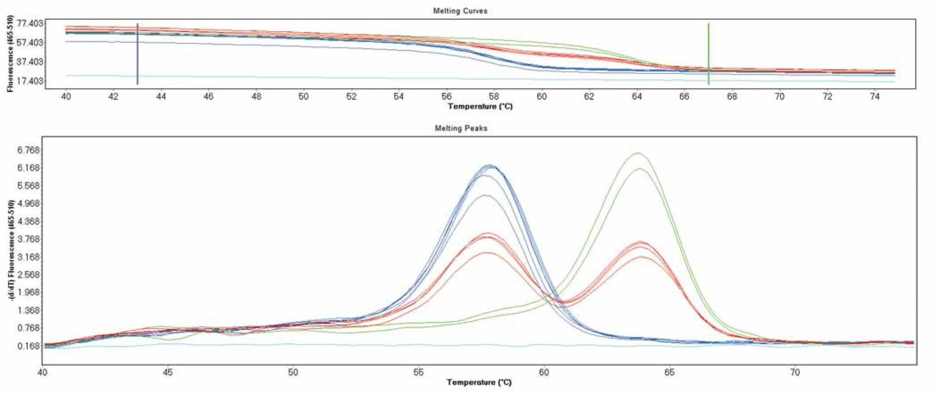 Genotypizace pomocí křivek tání na přístroji LightCycler 480 II - polymorfizmus p.Val66Met v genu &lt;i&gt;BDNF&lt;/i&gt;. Pík při 59 °C značí standardní alelu, pík při teplotě 64 °C značí mutantní alelu.
Fig. 1. LightCycler 480 II melting curves genotyping analysis – p.Val66Met polymorphism in &lt;i&gt;BDNF&lt;/i&gt; gene. Peak at melting temperature 59 °C indicates wild type allele, peak at 64 °C indicates mutant allele.