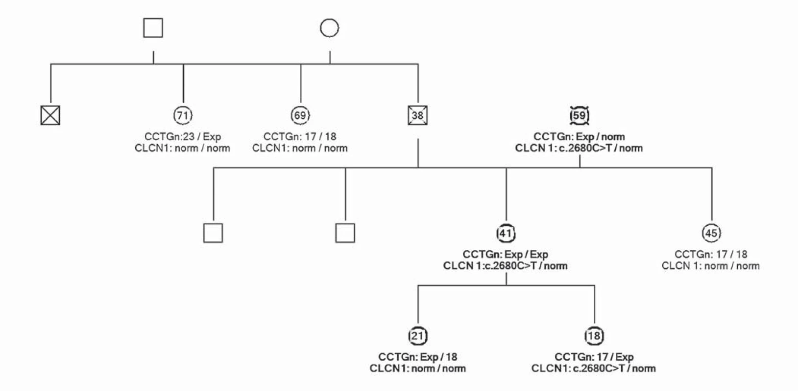 Rodokmen rodiny zobrazuje přenos mutací obou chorob ve třech generacích. Probandka označena   šipkou. Čísla uvádějí věk vyšetřovaných. Vyšetřen gen CLCN1 a ZNF9.