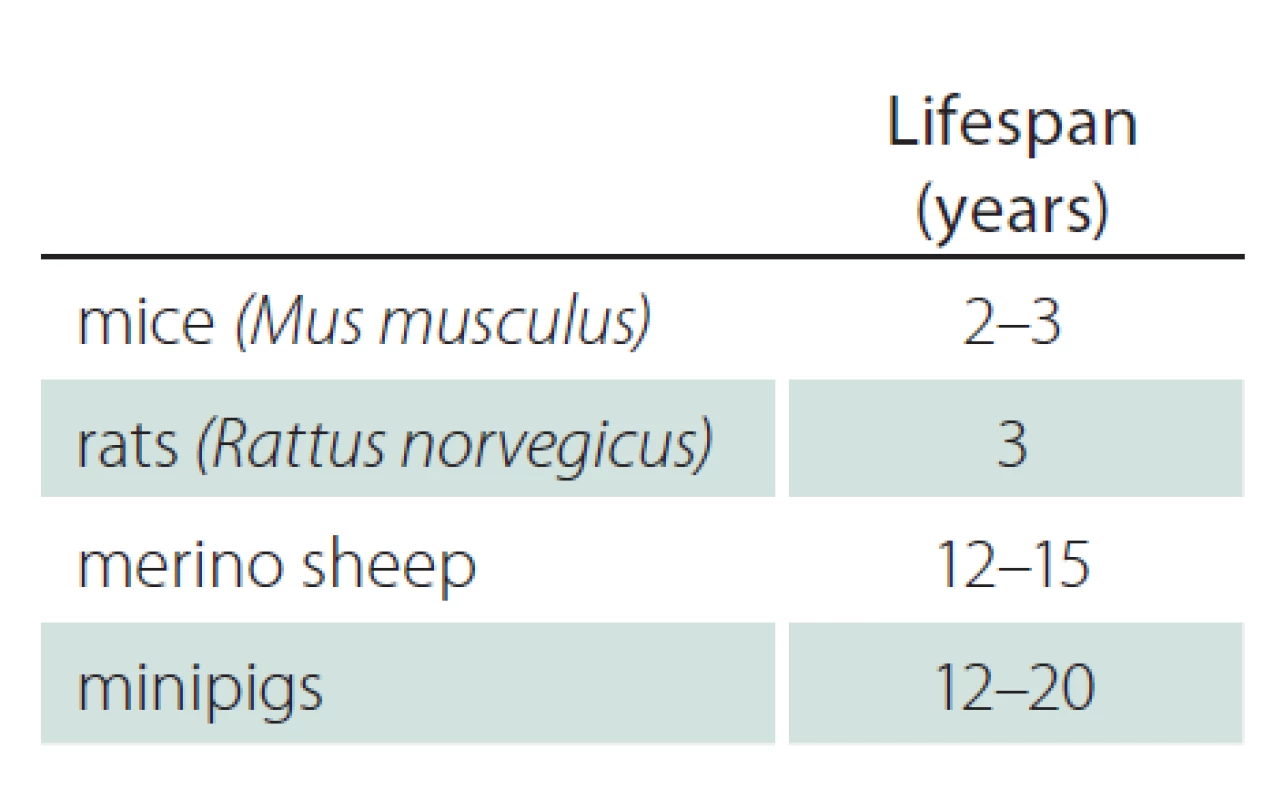 Lifespan of mice, rats, sheep and minipigs.