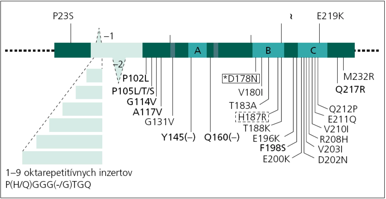 Schéma génu pre priónový proteín (PRNP) a mutácie. Schematická reprezentácia génu PRNP s najvýznamnejšími polymorfizmami a mutáciami. Všetky mutácie sú asociované s CJch okrem tých, ktoré sú znázornené boldom (GSS – Gerstmannov-Sträusslerov-Scheinkerov syndróm), plným rámčekom (FFI – fatálna familiárna insomnia alebo CJch, v závislosti od genotypu v kodóne 129) a bodkovaným rámčekom (fenotyp CJch s variabilnou patológiou).
Upravené podľa [16].