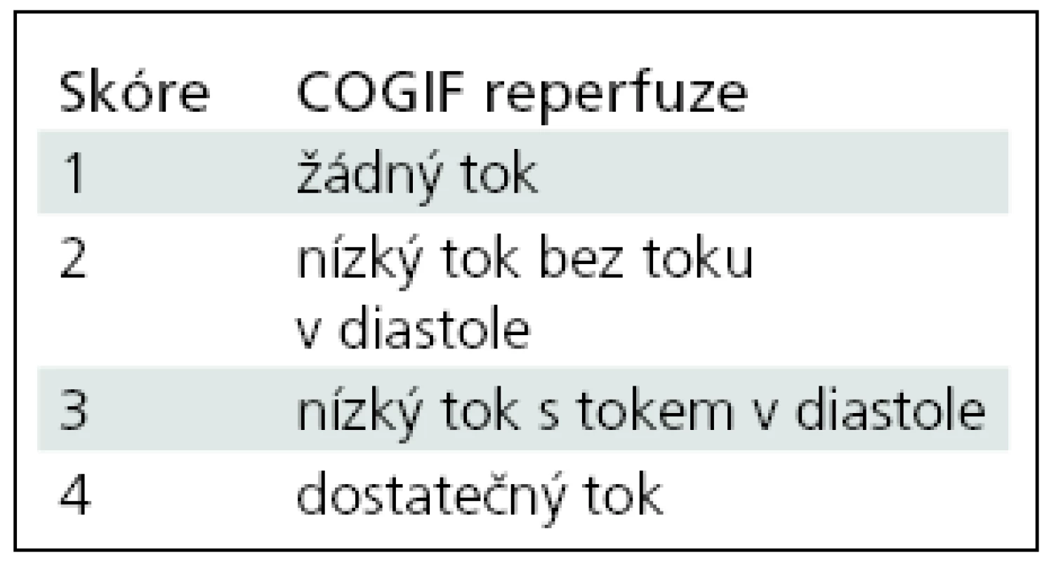 Klasifikace okluze a rekanalizace tepen COGIF (Consensus On Grading Intracranial Flow obstruction) [80].