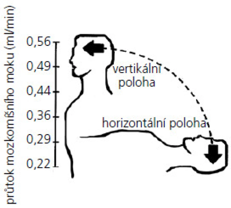 Znázornění závislosti průtoku CSF shuntem na poloze pacienta (upraveno), kdy ve vertikální poloze dochází k jeho zvýšení [78].