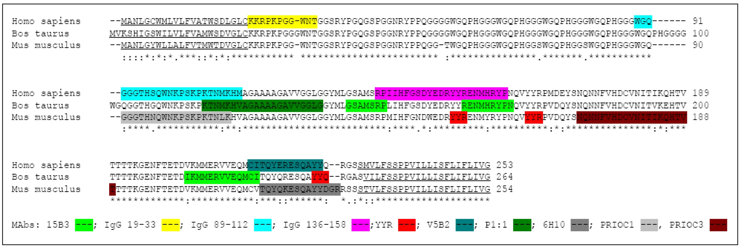 Pozice epitopů známých konformačně specifických protilátek proti prionovému proteinu. Srovnané aminokyselinové sekvence lidského (Homo sapiens, NP_001073592), hovězího (Bos taurus, DA23426) a myšího (Mus musculus, NP_035300) prionového proteinu s barevně zvýrazněnými epitopy konformačně specifických protilátek. Podtržené sekvence na začátku a konci molekuly představují signální peptidy, které jsou odštěpeny v průběhu postranslačních modifikací. Primární struktura prionového proteinu je vysoce konzervovaná, hvězdička ukazuje úplnou shodu mezi jednotlivými druhy, tečka, dvojtečka a mezera pak upozorňuje na rozdíly mezi živočišnými druhy. Většina známých epitopů konformačních protilátek se nachází na C koncové polovině molekuly prionového proteinu. Konformační protilátky obvykle nejsou druhově specifické a rozeznávají PrP&lt;sup&gt;TSE&lt;/sup&gt; více živočišných druhů (tab. 2).