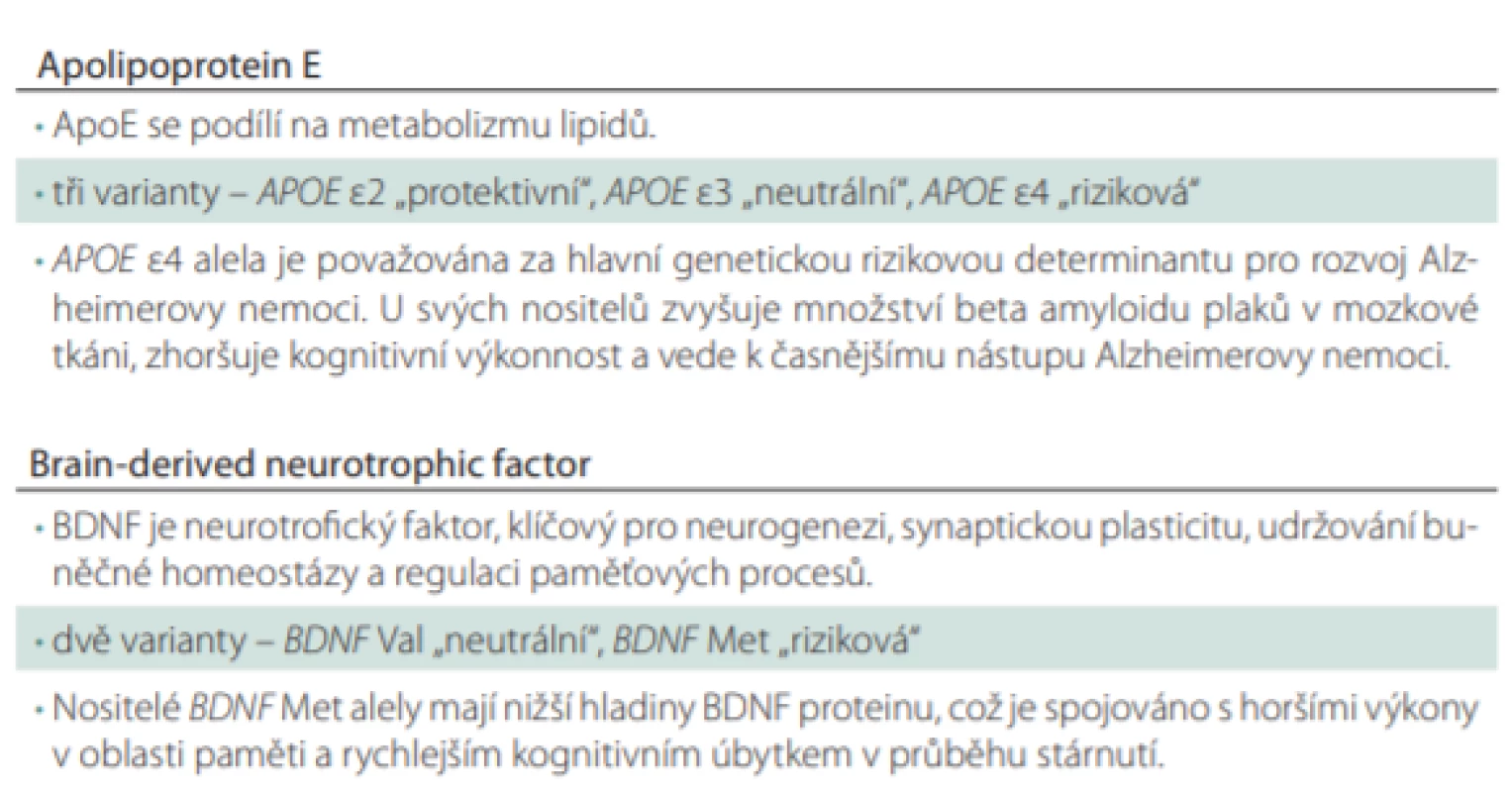 Funkce ApoE a BDNF a jejich polymorfismů.